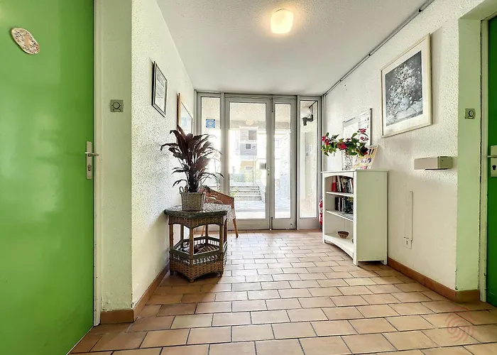 F2 Climatise Avec Terrasse, Proche Thermes Et Centre-ville, Animaux Acceptes, A - Fr-1-451-4 *