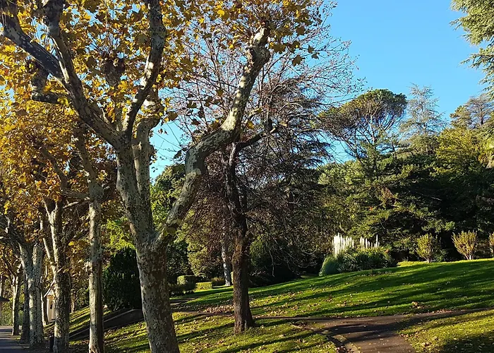 Διαμέρισμα F2 Climatise Avec Terrasse, Proche Thermes Et Centre-ville, Animaux Acceptes, A - Fr-1-451-4 Lamalou-les-Bains