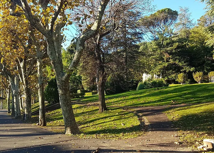 F2 Climatise Avec Terrasse, Proche Thermes Et Centre-ville, Animaux Acceptes, A - Fr-1-451-4 * Lamalou-les-Bains
